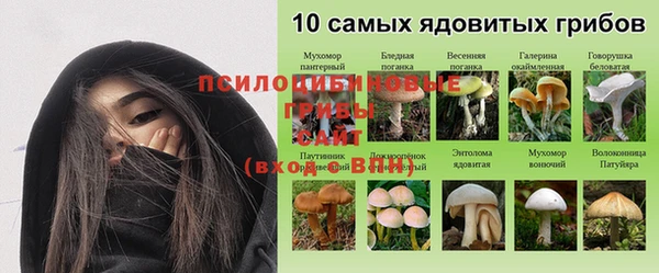 mdpv Алексин
